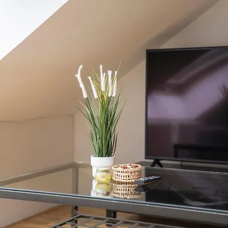 Apartamento Free Parking- Cozy In Historical Building Center